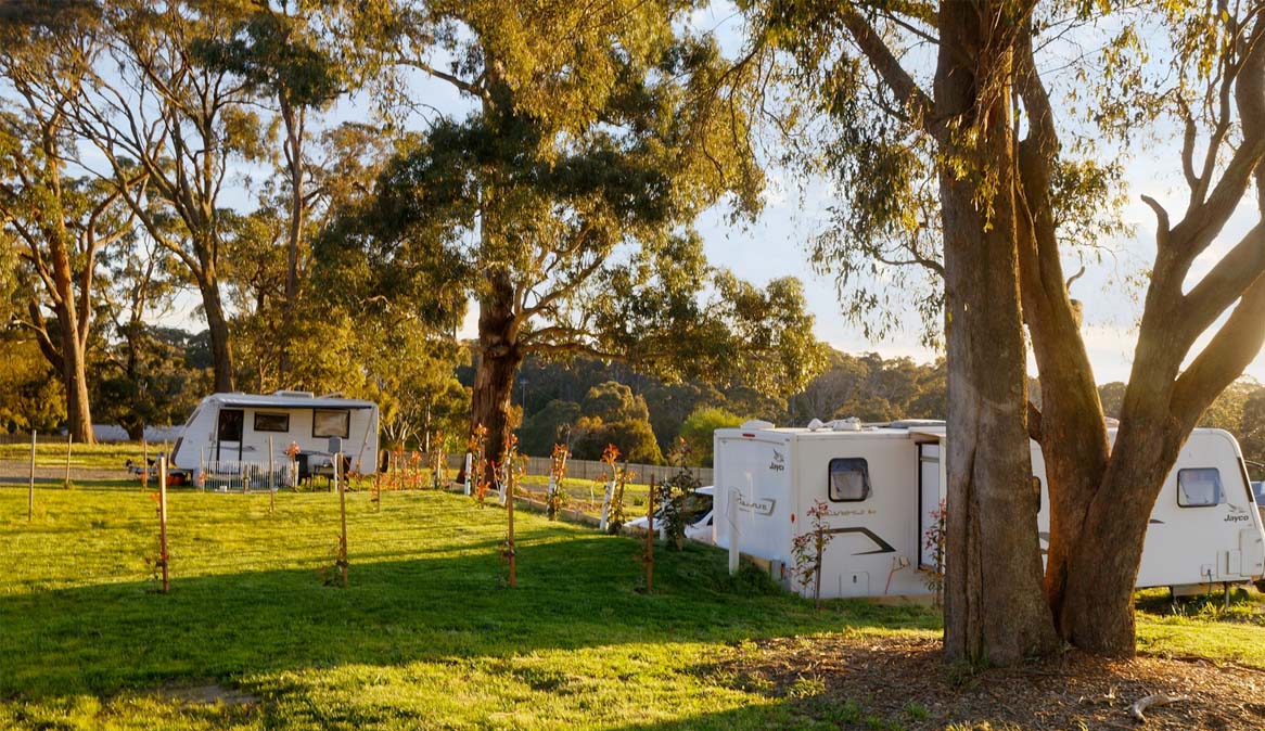 Caravan Site morning view