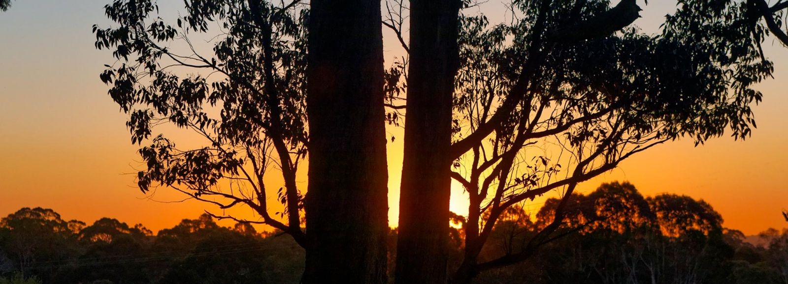 Morning view from caravan park