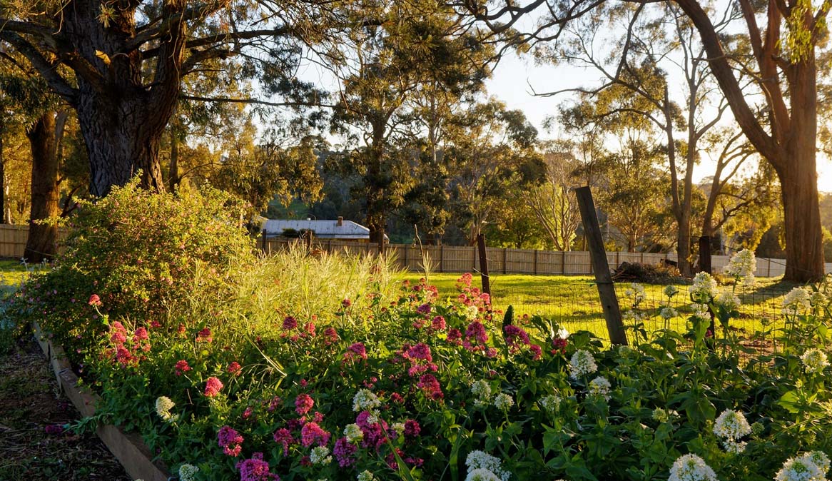 Beautiful Lawn to make your stay enjoyable