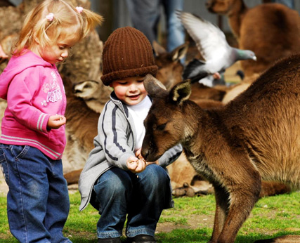 Ballarat Wildlife Park