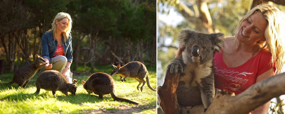 Ballarat Wildlife Park Accommodation