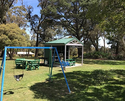 Camp Kitchen in Wooded Area